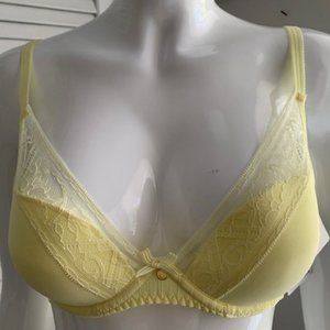 New Chantelle Alto Leaver lace Push Up Bra NWT 38B